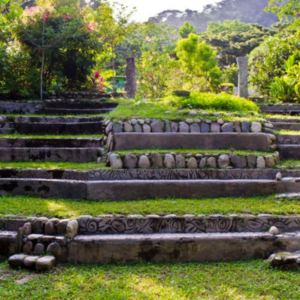TAIRONAKA / RIO DON DIEGO